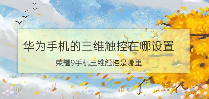 华为手机的三维触控在哪设置 荣耀9手机三维触控是哪里？